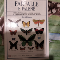 Farfalle e falene