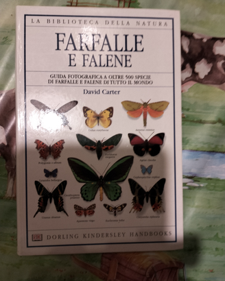 Farfalle e falene