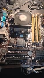 scheda madre asrock am3