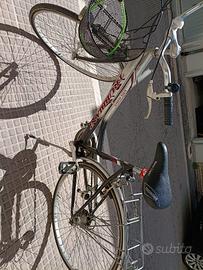 Bicicletta da donna