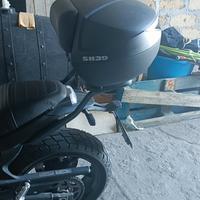 bauletto Shade Benelli leoncino 800