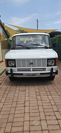 Ford transit 1983