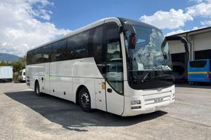 Man Lion's Coach, 2015, 55 posti, Euro 6