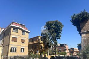 3 LOCALI A ROMA