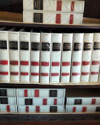 enciclopedia 