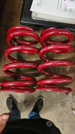 Molle Eibach ERS varie misure per assetto regol