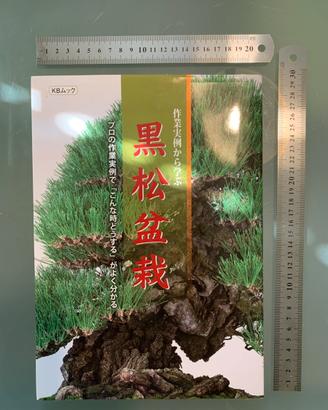 Libro coltivazione bonsai pino nero ed. giapponese
