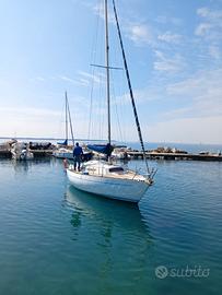 Classis 8 1/2 Segugio