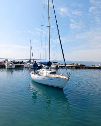 Classis 8 1/2 Segugio