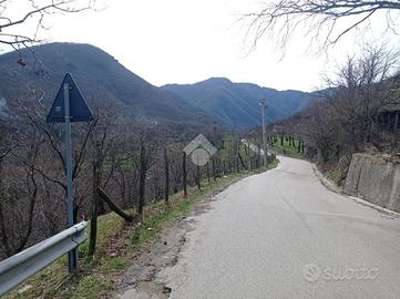 TER. AGRICOLO A SERINO