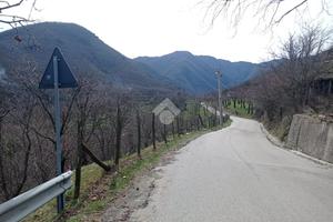 TER. AGRICOLO A SERINO