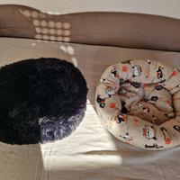 Cucce graziose gatto cane