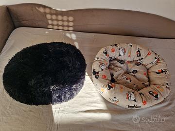 Cucce graziose gatto cane