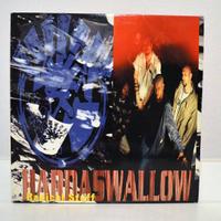 RADICAL STUFF – Hardaswallow (2 LP)