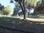 Immagine 29