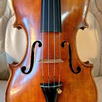 violino celeste farotto 