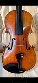 violino celeste farotto 