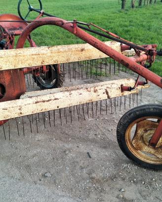 Ranghinatore a pettine semovente