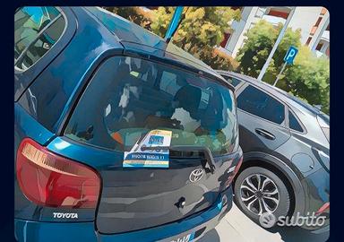 Volantinaggio controlabile