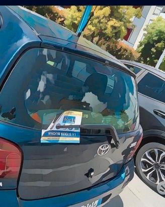 Volantinaggio controlabile