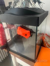 Acquario litri 30 con accessori