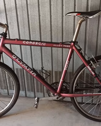 Bici sportiva Olimpia