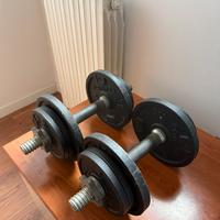 Manubri da 10 kg decathlon