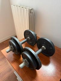 Manubri da 10 kg decathlon