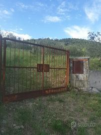 Terreno agricolo uliveto Castel Madama