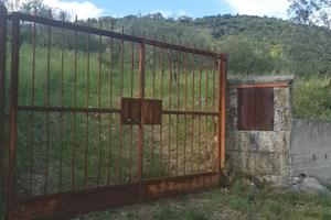 Terreno agricolo uliveto Castel Madama