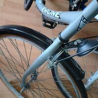 bicicletta donna 