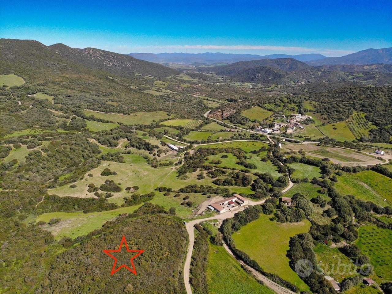 Pascolo a Teulada - Vista 2