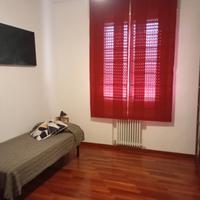 Camera singola a Bologna