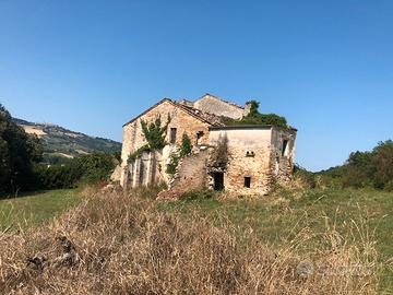 Grande casolare con terreno