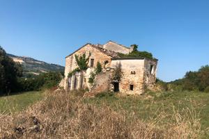 Grande casolare con terreno