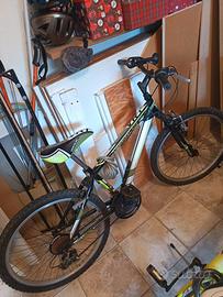 Bici MTB Casadei VRT Vertical