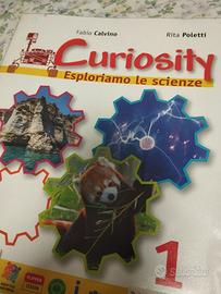 Curiosity 1