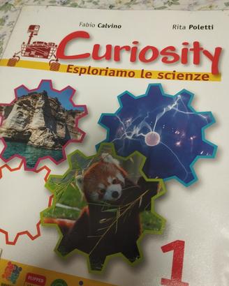 Curiosity 1