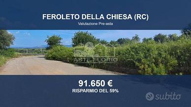 Immobile in asta di 3378 m² a Feroleto della Chies