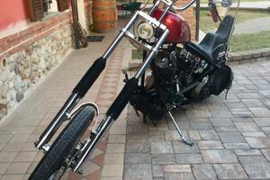 Harley Davidson Chopper Shovelhead