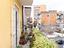 Immagine 29