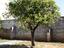 Immagine 28