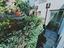 Immagine 8
