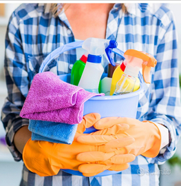 Pulizie domestiche