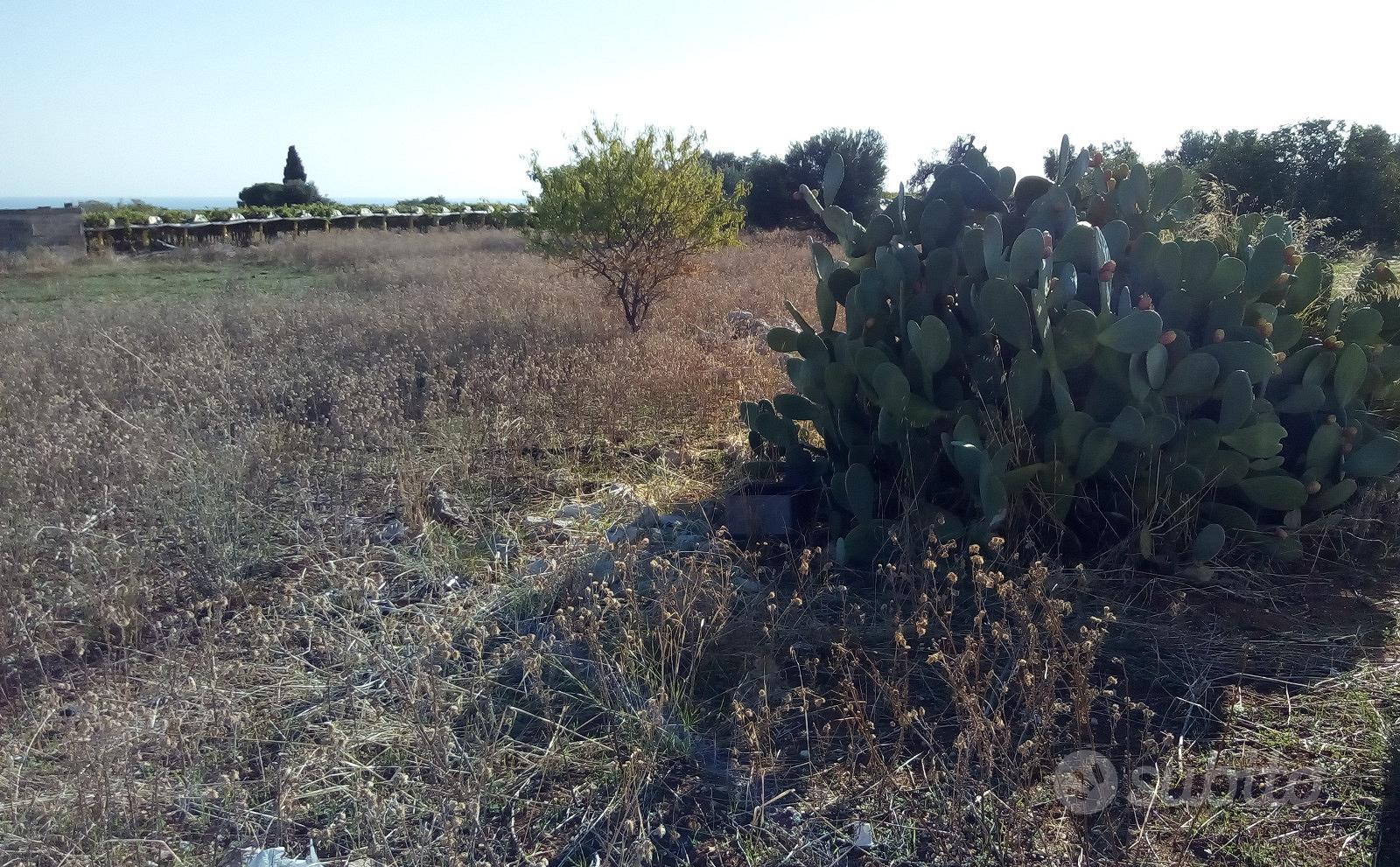 Terreno agricolo in Mola di Bari - Vista 3