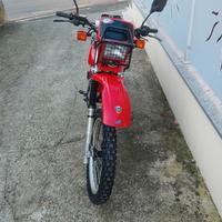 Honda XL 600 R