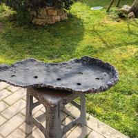 lastra boschetti bonsai