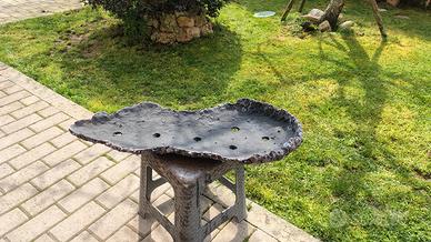 lastra boschetti bonsai