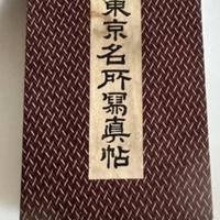 Album, Fotografie - Carta - 'Saishin Tokyo meisho 