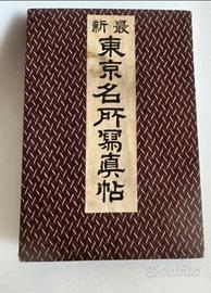 Album, Fotografie - Carta - 'Saishin Tokyo meisho 